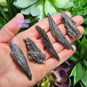 May include: Six small, black, raw, pointed, and rough Black Tourmaline crystals, also known as Schorl, on a hand. The crystals are between 4 and 8 grams each. Small 4-8g.