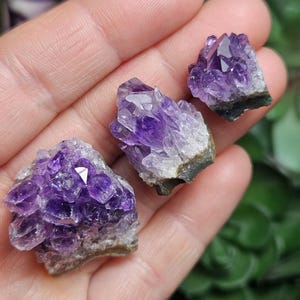 May include: Three small amethyst crystal clusters with purple and clear crystals. The clusters are on a hand.