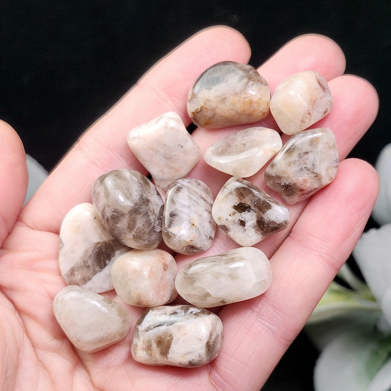 May include: A collection of tumbled stones in shades of beige, cream, and brown. The stones vary in size and shape, with smooth, polished surfaces. Some stones have darker brown inclusions, while others are a solid cream color. The stones are held in a hand.
