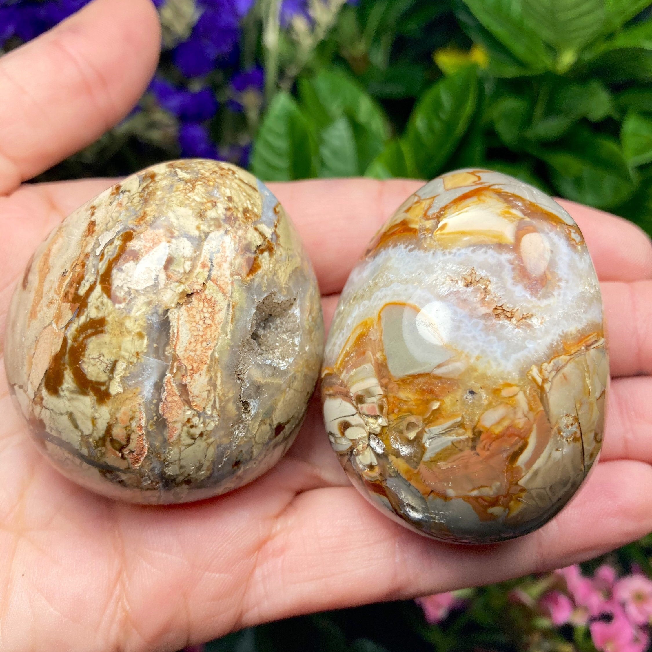 Ibis Jasper Crystal, Polished Ibis Jasper Palm Stone - Etsy
