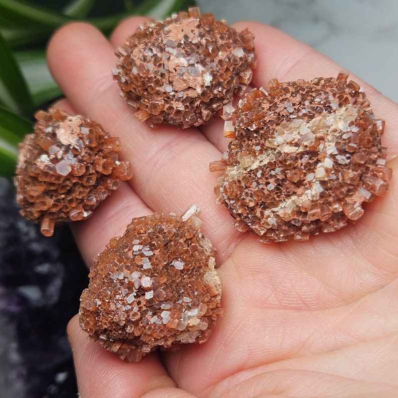 May include: Four brown aragonite cluster crystals with a rough, textured surface. The crystals are arranged in a hand, with the largest crystal in the center.