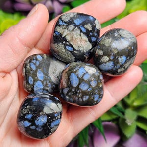 Que Sera Stone: Tumbled Glaucophane Healing Crystal