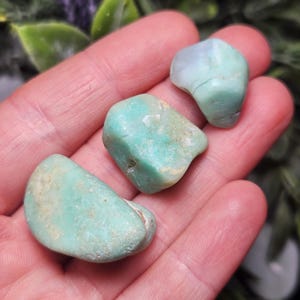 May include: Three tumbled stones with a smooth, polished texture and a pale mint green color. The stones feature irregular, rounded shapes with subtle white and cream-colored mineral inclusions throughout their surfaces, displaying natural variations.