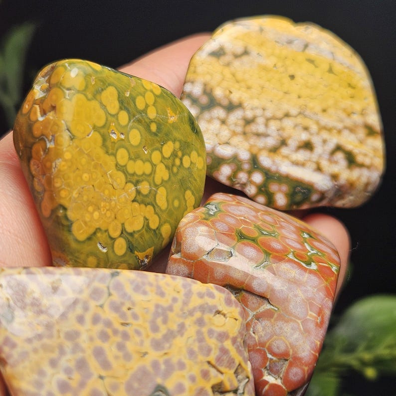 May include: A collection of polished gemstones in various colors. The stones feature patterns of yellow, green, orange, and brown. The textures vary, with some stones displaying a spotted pattern and others a layered appearance. These stones are ideal for collectors.