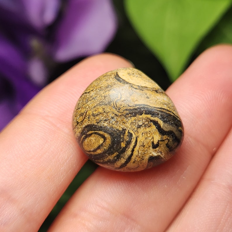 May include: A smooth, rounded stone with a unique pattern of swirling black and tan colors. The stone's surface has a polished appearance, and the colors create an eye-catching design. The stone is a natural, earthy item.