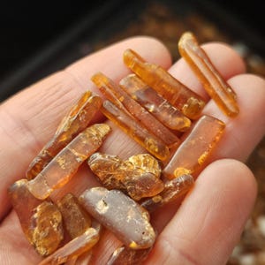 May include: A collection of amber-colored, translucent crystals of varying shapes and sizes. The crystals are held in a hand, showcasing their natural, rough-hewn appearance. The crystals have a warm, golden hue, with some exhibiting a slightly darker, more opaque tone.