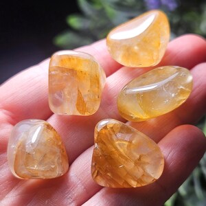 May include: Five polished, tumbled golden rutilated quartz stones with translucent surfaces and visible needle-like inclusions. The stones exhibit varying shades of yellow and amber, featuring smooth, rounded edges and reflective, glossy surfaces.