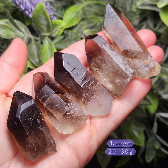 Smoky Quartz Crystal Point from Brazil - Raw Natural Smoky Quartz Terminated Brazilian Crystal