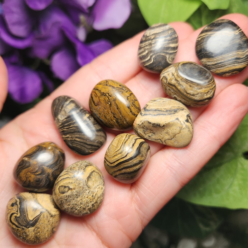 May include: A collection of tumbled stones in shades of brown, tan, and black, with unique swirling patterns. The stones are smooth and polished, held in an open hand. The natural stones vary in size and shape, showcasing their individual characteristics.