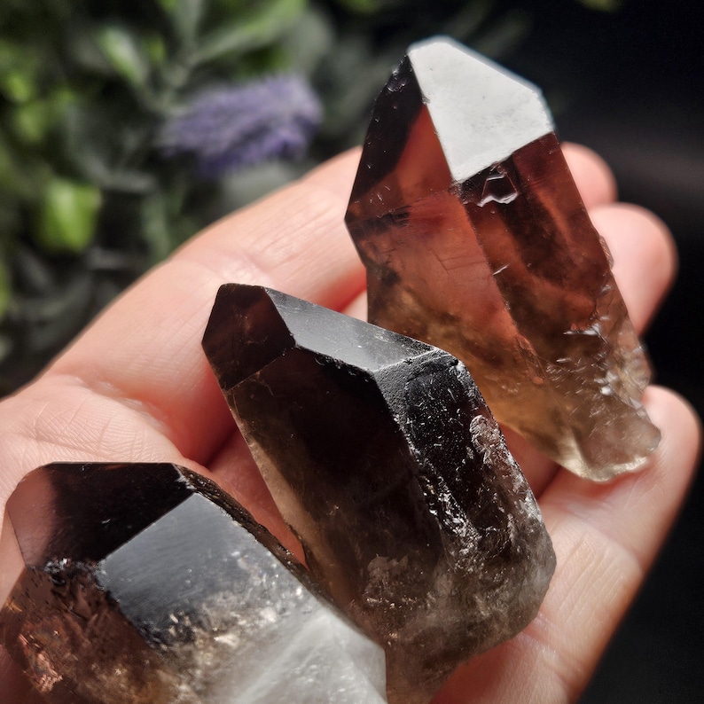 Puede incluir: Tres puntas de cristal de cuarzo ahumado, de color marr&oacute;n oscuro y aspecto pulido y facetado. Los cristales se sostienen en una mano, con un fondo borroso de vegetaci&oacute;n y flores moradas.