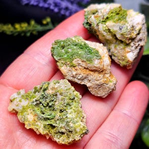 May include: Three raw mineral specimens featuring a rough, beige-colored rock matrix with vibrant, moss-green crystalline deposits on the surface. The stones have an irregular, jagged texture with visible mineral clusters and earthy tones.