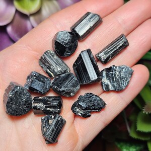 Peut inclure: Une collection de onze petits cristaux de tourmaline noire brute avec des structures colonnaires stri&eacute;es et des bords irr&eacute;guliers et dentel&eacute;s. Les pierres pr&eacute;sentent une couleur noire profonde avec un &eacute;clat vitreux sur leurs faces verticales et des textures mates rugueuses.