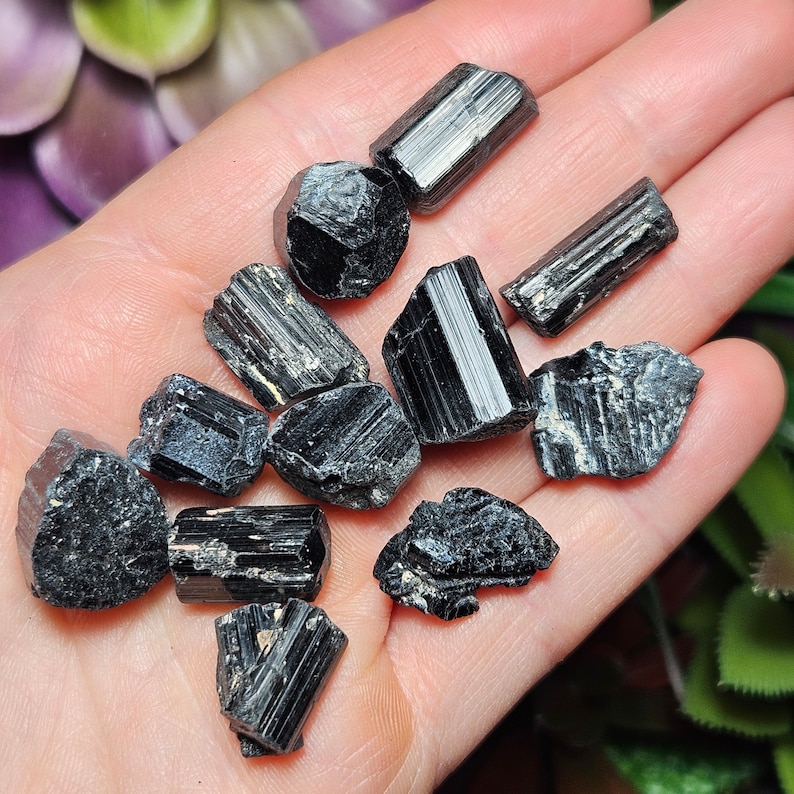 Peut inclure: Une collection de onze petits cristaux de tourmaline noire brute avec des structures colonnaires stri&eacute;es et des bords irr&eacute;guliers et dentel&eacute;s. Les pierres pr&eacute;sentent une couleur noire profonde avec un &eacute;clat vitreux sur leurs faces verticales et des textures mates rugueuses.