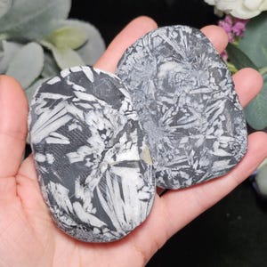 May include: Two polished, oval-shaped stones with a striking black and white pattern resembling a crystallized or floral design. The stones are held in a hand, showcasing their natural beauty and unique textures. The stones are a natural product.