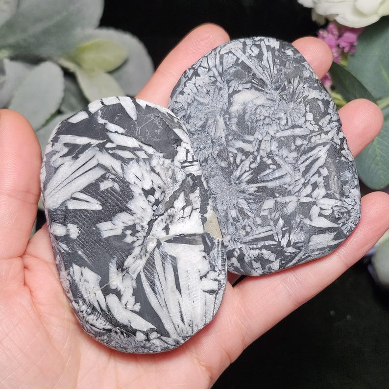 May include: Two polished, oval-shaped stones with a striking black and white pattern resembling a crystallized or floral design. The stones are held in a hand, showcasing their natural beauty and unique textures. The stones are a natural product.