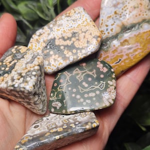 Puede incluir: Una colecci&oacute;n de cinco piedras de jaspe oce&aacute;nico pulidas con superficies lisas y patrones orbiculares distintivos. Las piedras muestran una variedad de colores que incluyen tonos de verde, amarillo, blanco y rosa, con inclusiones circulares visibles en todas ellas.