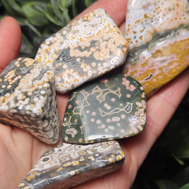Puede incluir: Una colecci&oacute;n de cinco piedras de jaspe oce&aacute;nico pulidas con superficies lisas y patrones orbiculares distintivos. Las piedras muestran una variedad de colores que incluyen tonos de verde, amarillo, blanco y rosa, con inclusiones circulares visibles en todas ellas.