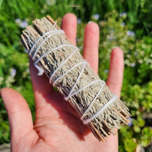Blue Sage Smudge - 4&quot; Smudge Stick - Sage Bundle - Blue Sage Stick - Blue Sage Smudge Stick - Blue Sage Incense - Blue Sage Bulk - Sage