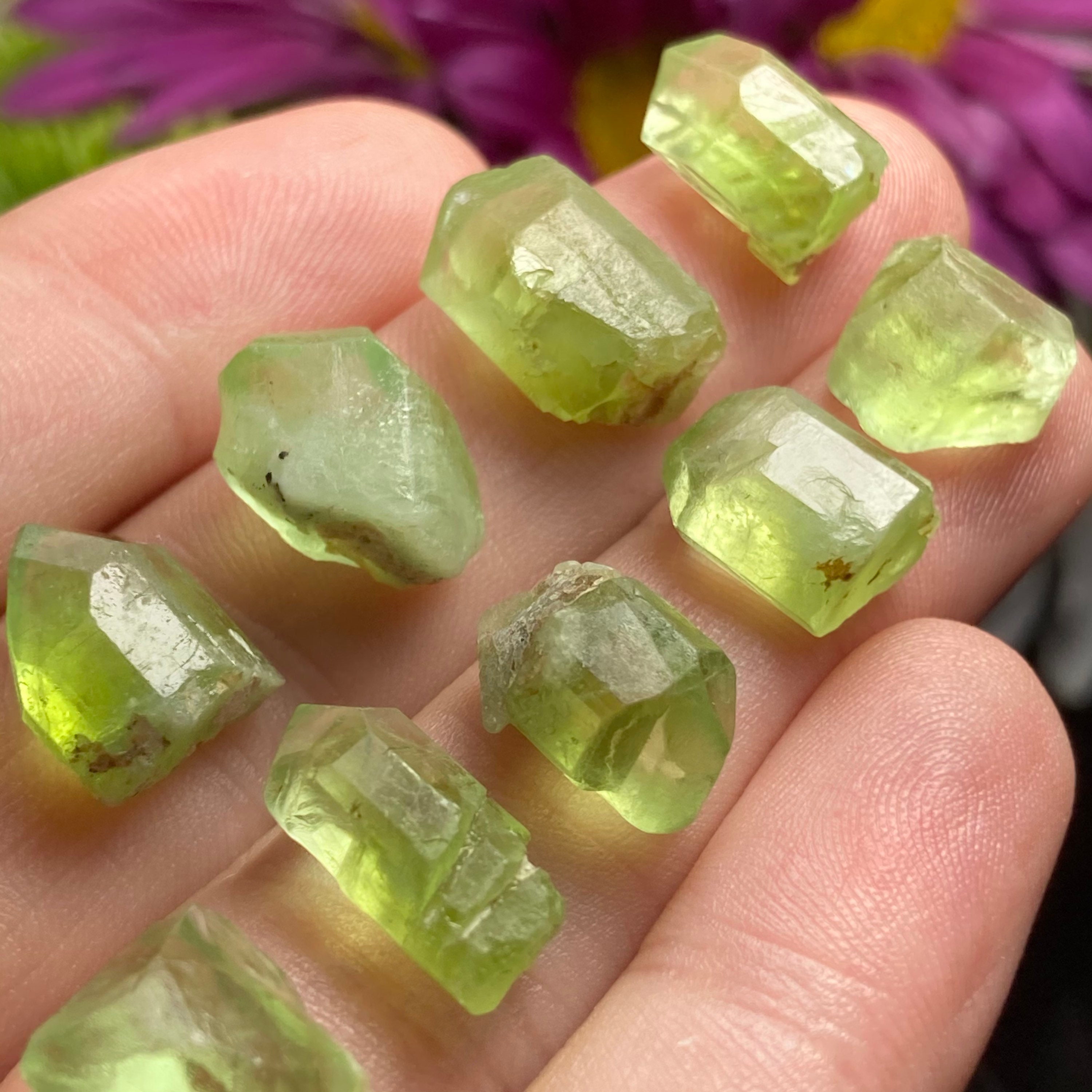thumbnail image 2 of Peridot 3-4 Mm Button Gemstone Beads Strand - 14.5" Strand, More Than 75 Beads 2 of 6