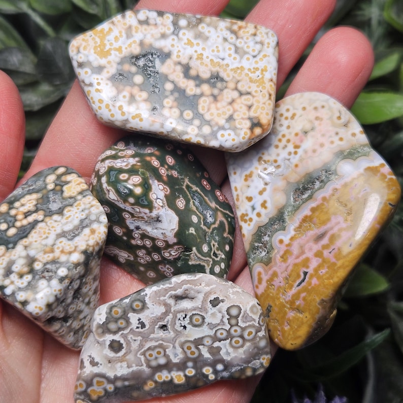 Puede incluir: Una colecci&oacute;n de cinco piedras de jaspe oce&aacute;nico pulidas con superficies lisas y patrones orbiculares distintos en tonos verde, amarillo, blanco y rosa. Cada piedra muestra inclusiones circulares &uacute;nicas y variaciones minerales naturales.
