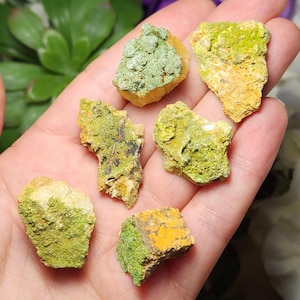 May include: A collection of raw, natural mineral specimens. The stones display a mix of yellow, orange, and green hues, with a textured, rough surface. The minerals are held in a hand, showcasing their size and detail. Ideal for collectors and crystal enthusiasts.