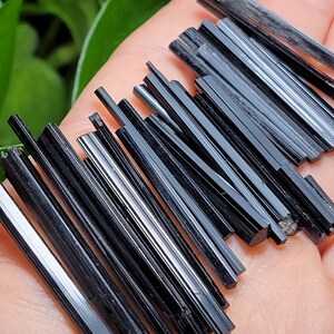 Puede incluir: Colecci&oacute;n de cristales de turmalina negra pulida. Los cristales tienen forma de varilla, con una superficie brillante y de longitud variable. Se sostienen en una mano, con follaje verde en el fondo.