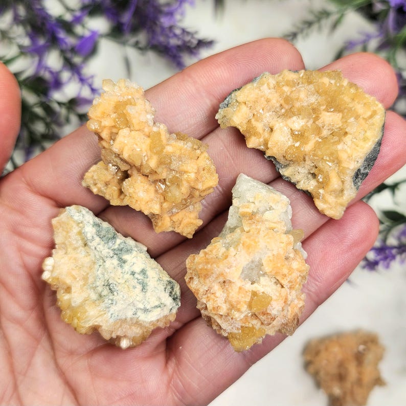 May include: A collection of raw, natural mineral specimens. The crystals are a warm yellow-orange color, with some pieces showing a dark gray or green base. The minerals are held in a hand, with a blurred background of purple flowers.