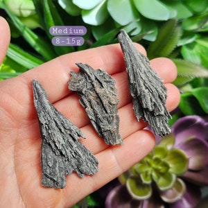 May include: Three black selenite crystals, also known as desert rose, in a medium size, ranging from 8 to 15 grams. The crystals are in the shape of a fan or a feather, with a layered, striated texture.