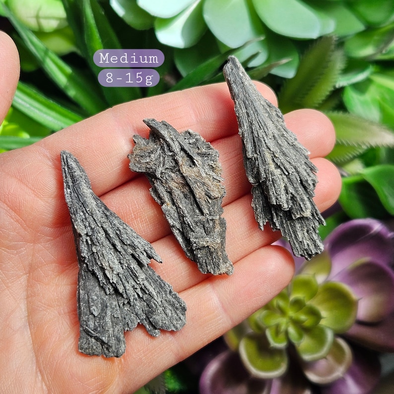 May include: Three black selenite crystals, also known as desert rose, in a medium size, ranging from 8 to 15 grams. The crystals are in the shape of a fan or a feather, with a layered, striated texture.