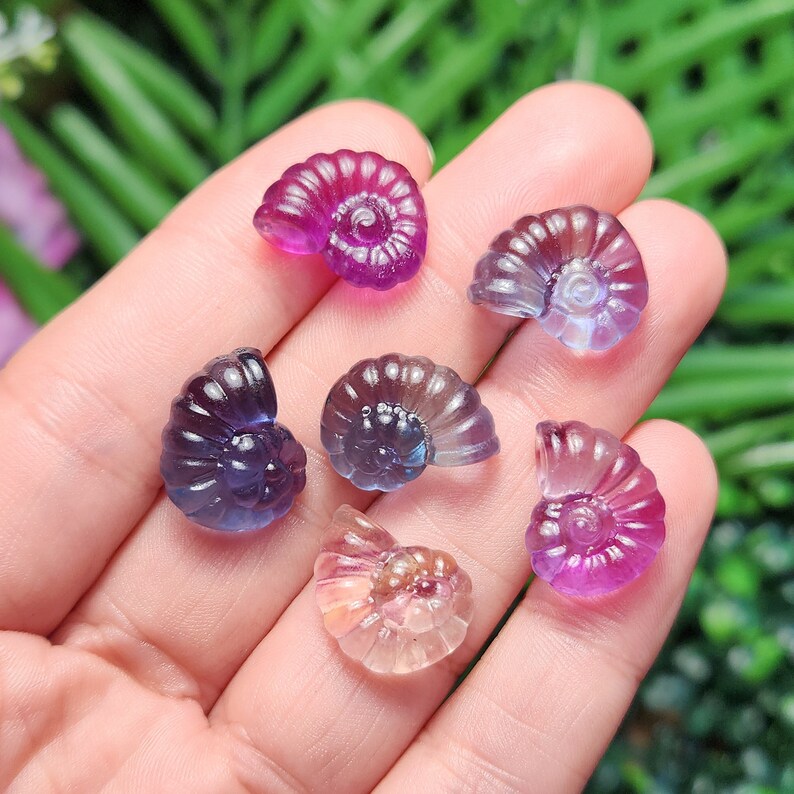 Peut inclure: Six petits fossiles d'ammonites en pierres pr&eacute;cieuses sculpt&eacute;es, dans des tons de violet, de bleu et de rose. Les fossiles sont tenus dans une main, avec un arri&egrave;re-plan vert et violet flou. Chaque fossile a un motif en spirale.