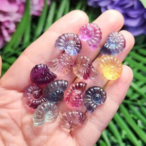 Peut inclure: Plusieurs petits fossiles d'ammonites en pierres pr&eacute;cieuses sculpt&eacute;es, de couleurs vari&eacute;es : violet, rose, bleu et jaune. Les fossiles sont tenus dans une main, r&eacute;v&eacute;lant leurs motifs en spirale et leur aspect translucide.