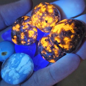 May include: A collection of glowing rocks, featuring a mix of orange and brown patterns. The rocks are held in a hand, with blue and white stones in the background. The rocks have a unique, textured appearance.
