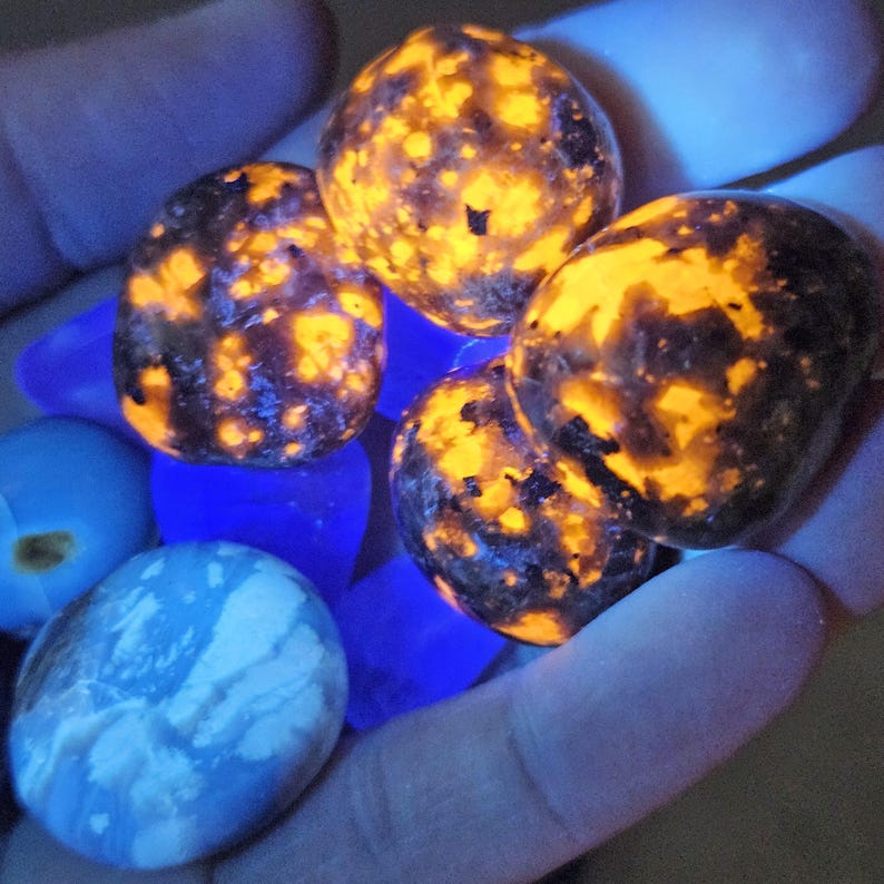 May include: A collection of glowing rocks, featuring a mix of orange and brown patterns. The rocks are held in a hand, with blue and white stones in the background. The rocks have a unique, textured appearance.