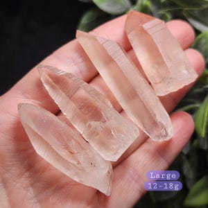 May include: Three clear, elongated quartz crystal points with subtle reddish-orange inclusions. The crystals are translucent with natural facets and sharp terminations. A purple rectangular label displays the text Large 12-18g.