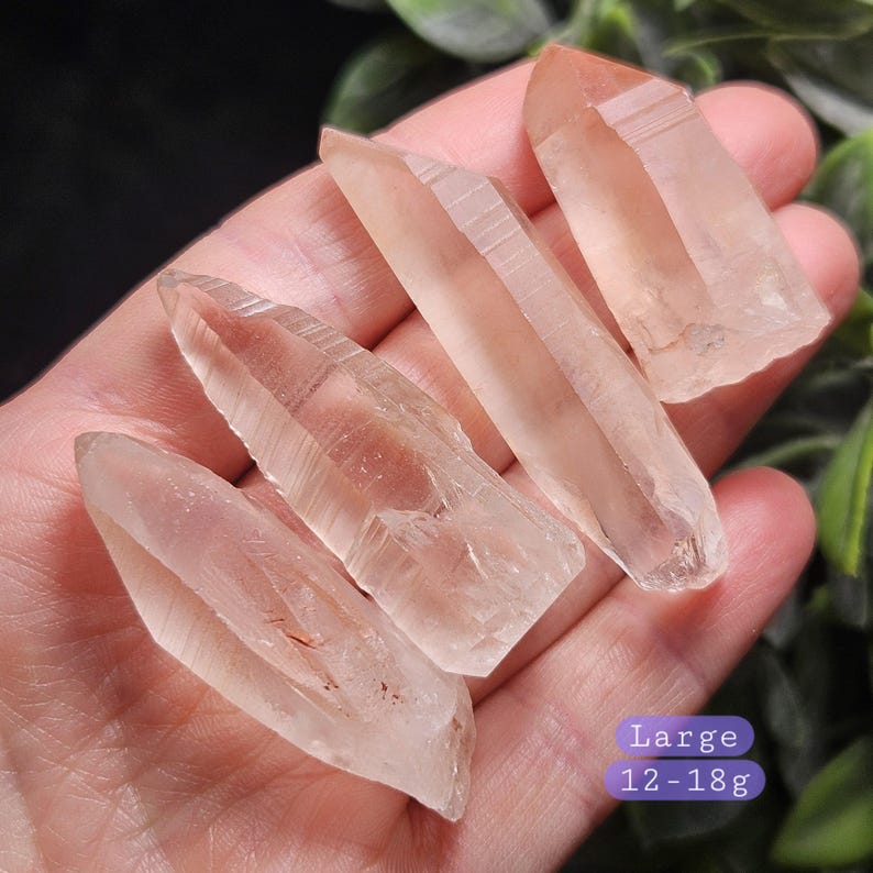 May include: Three clear, elongated quartz crystal points with subtle reddish-orange inclusions. The crystals are translucent with natural facets and sharp terminations. A purple rectangular label displays the text Large 12-18g.