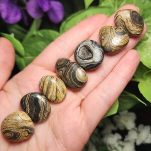 May include: A collection of polished stones with unique patterns of black, brown, and tan swirls. The stones are oval-shaped and vary in size, held in an open hand against a backdrop of green leaves and purple flowers. These stones are ideal for meditation or decorative purposes.