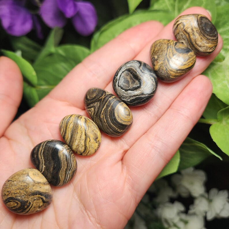 May include: A collection of polished stones with unique patterns of black, brown, and tan swirls. The stones are oval-shaped and vary in size, held in an open hand against a backdrop of green leaves and purple flowers. These stones are ideal for meditation or decorative purposes.