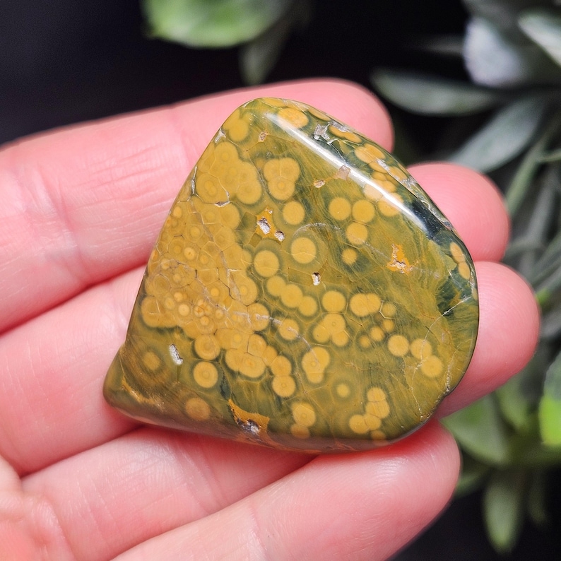 May include: A polished gemstone with a unique pattern of yellow-gold circles on a green background. The stone has a smooth, rounded shape and is held in a hand, showcasing its natural beauty. The gemstone is a decorative item.