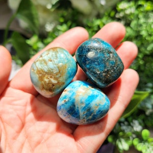 May include: Three polished gemstones in shades of blue and brown are held in a hand. The stones have a smooth, rounded shape and varying patterns. The background is blurred, with green foliage visible.