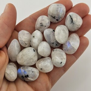 May include: A selection of polished moonstone gemstones, each with a milky white base and subtle iridescent flashes of blue and grey. The stones vary in size and shape, held in a hand, showcasing their natural beauty and potential for jewellery or crystal healing.