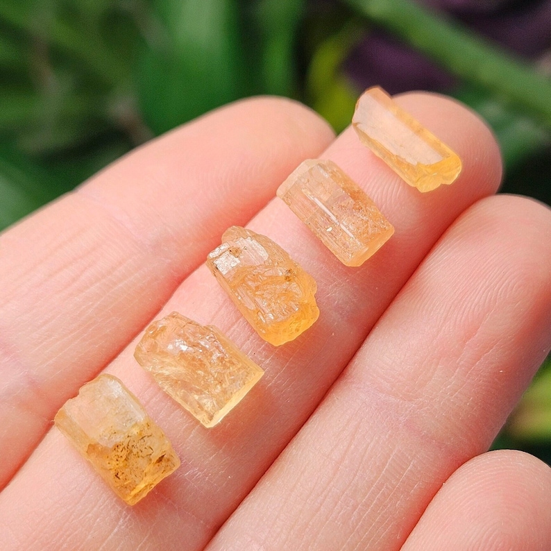 May include: Five small, translucent, orange-yellow raw gemstone crystals with a rectangular, elongated shape and natural faceted textures. The stones are arranged in a line, showcasing their varying clarity and internal crystalline structures.