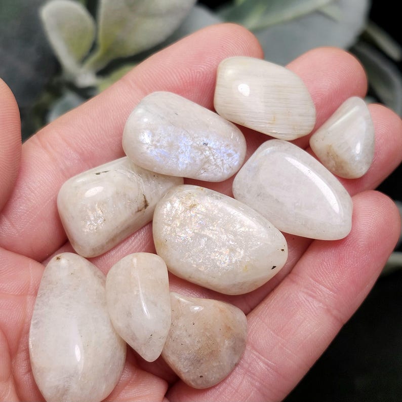 Puede incluir: Primer plano de una mano sosteniendo varias piedras lunares pulidas. Las piedras, de formas y tama&ntilde;os variados, son principalmente blanquecinas con destellos iridiscentes azules y dorados. Fondo verde borroso.