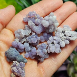 May include: A selection of grape agate gemstones in shades of purple and lavender. The stones have a bubbly, clustered appearance, similar to bunches of grapes. The gemstones are held in a hand, highlighting their natural colours and textures.