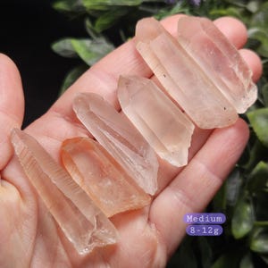 May include: Five clear quartz crystal points with varying transparency and subtle orange-tinted hues. The crystals are elongated with natural facets and pointed terminations. A purple rectangular graphic displays the text Medium 8-12g.