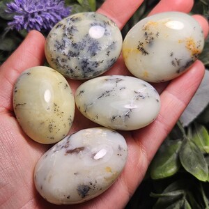 May include: Five smooth, polished oval stones with a creamy off-white base color. Each stone features unique, dark, fern-like dendritic inclusions that branch across the surface. The stones have a glossy, reflective finish and vary in size.
