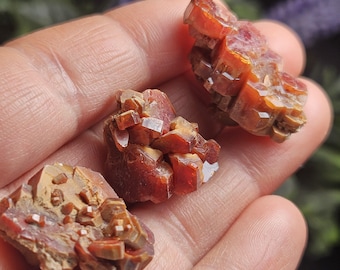 May include: Three raw vanadinite mineral specimens in shades of orange-red. The crystals exhibit a blocky, crystalline structure with a reddish-brown hue. The minerals are presented against a blurred backdrop, emphasizing their natural beauty.