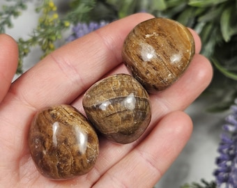 Tumbled Chocolate Aragonite Crystal: Polished Gemstone