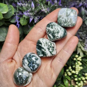 May include: Five polished moss agate stones arranged in a line. Each stone features a smooth, rounded surface with a distinct pattern of deep forest green inclusions set against a translucent, milky white and grey crystalline base material.