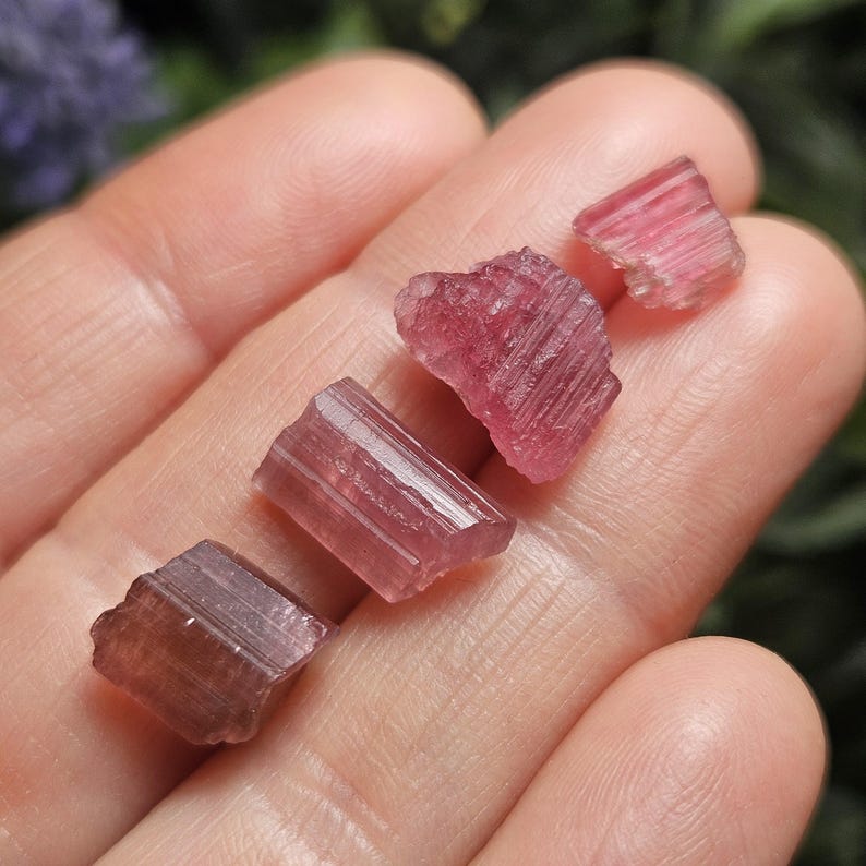May include: Four raw, pink tourmaline crystals of varying sizes are displayed. The crystals have a translucent appearance with visible striations. The crystals are a vibrant pink color, with some areas appearing more saturated than others. The crystals are held in a hand.