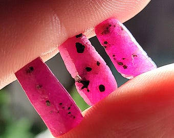May include: Three pink ruby crystals with black inclusions, held in a hand.